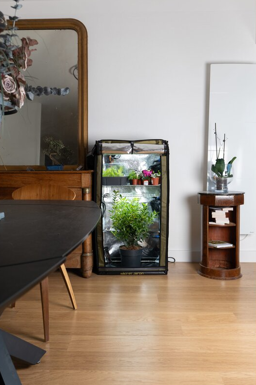 Secret Jardin Grow Station The Original 60