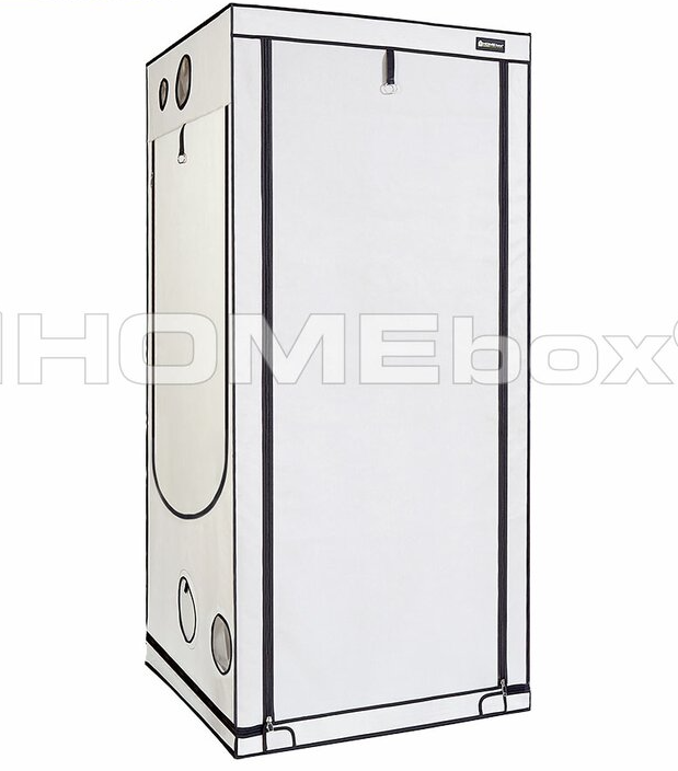 Homebox Ambient Q100+