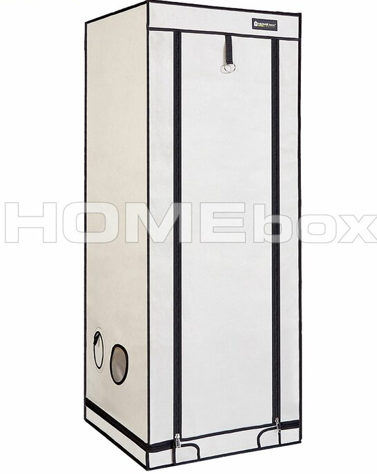 Homebox Ambient Q60+