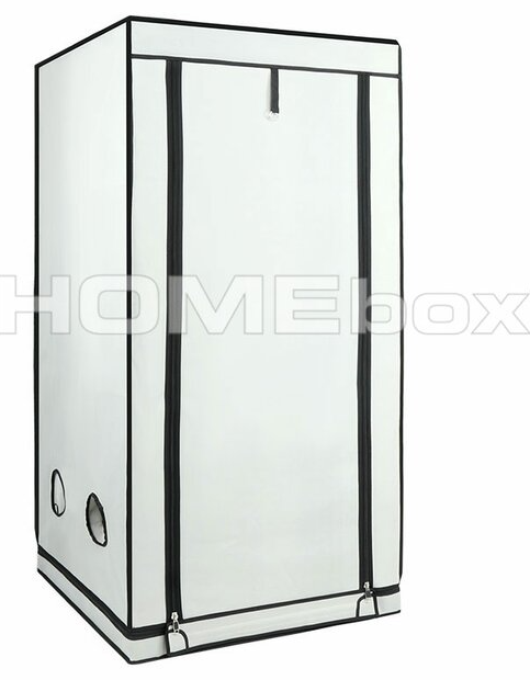 Homebox Ambient Q80+