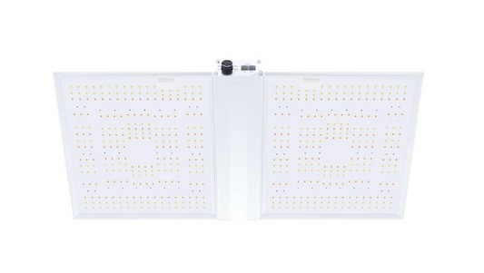 Nanolux LED RG300 320W