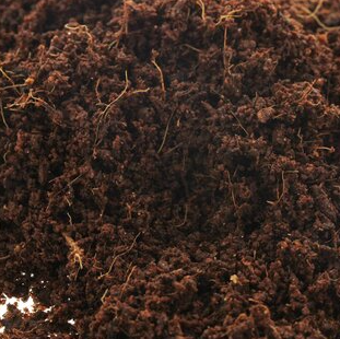 (25 Sack) x BioBizz Coco Mix Erde 50L
