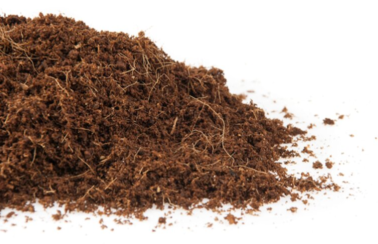 (21 Sack) x Canna Coco Professional Plus 50L