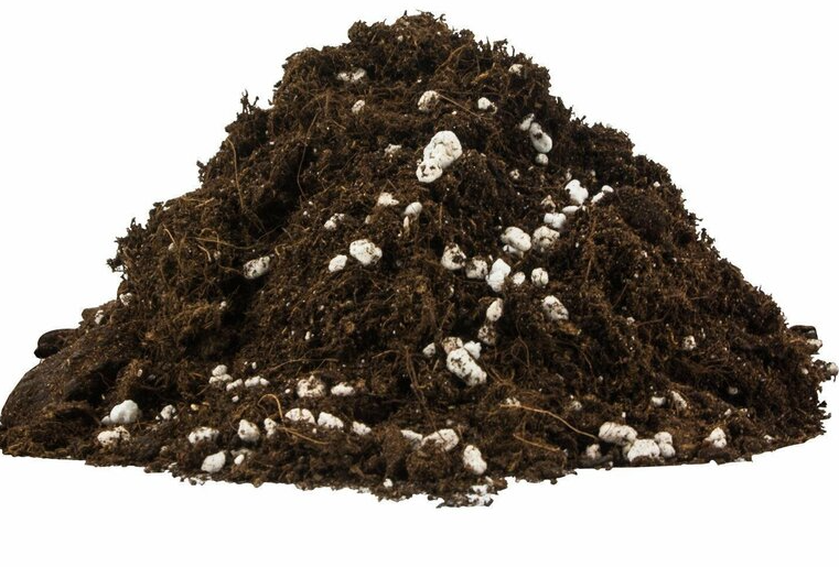 (23 Sack) x Plagron Light Mix mit Perlite 50 Liter