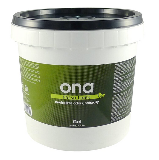 ONA Gel Apple Crumble 3,8kg Eimer