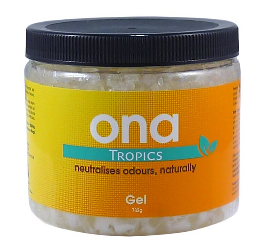 ONA Gel Tropics 732g Glas