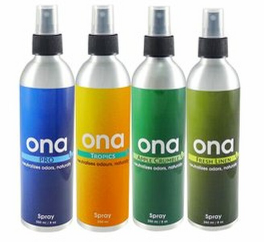 ONA Spray 250ml Fruit Fusion