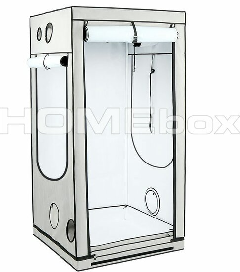 Homebox Ambient Q100