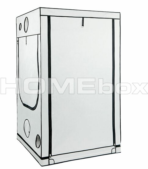 Homebox Ambient Q120