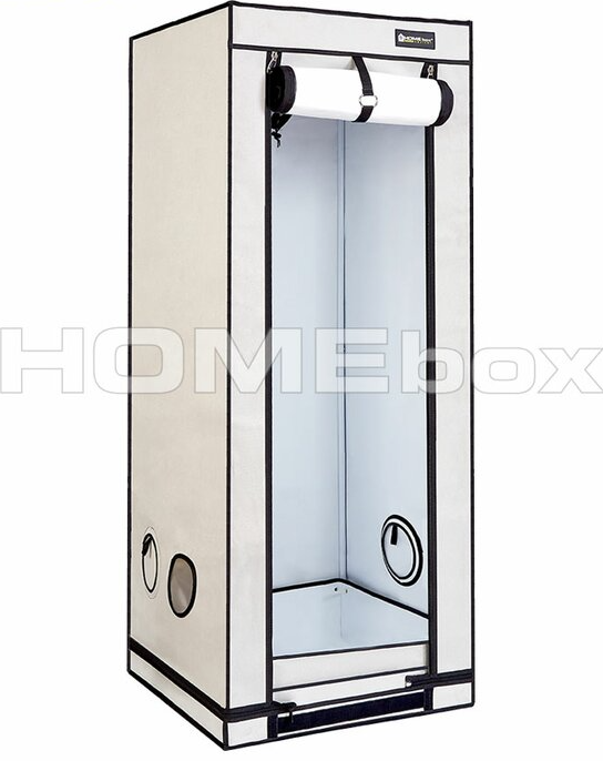 Homebox Ambient Q60+