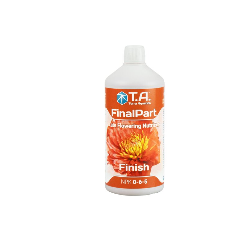 T.A. Final Part 1L